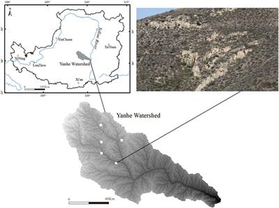 The function of phytogenic mounds in the accumulation and conservation of soil seed banks in semiarid areas with water erosion